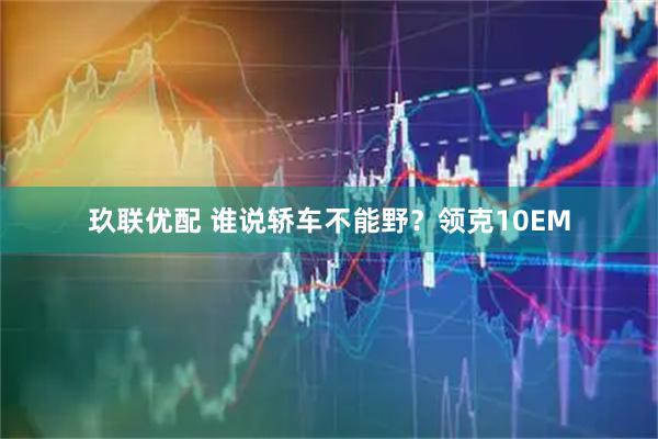 玖联优配 谁说轿车不能野？领克10EM